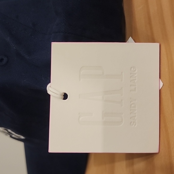 Sandy Liang x Gap Logo Baseball Hat Navy Blue Cap NWT - Picture 8 of 9